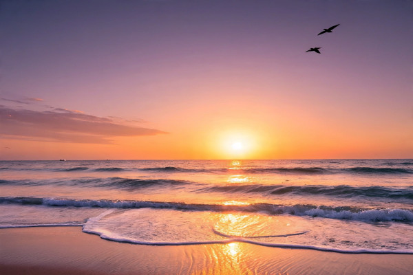 Alibaug Mumbai Dapoli Tour 3N4D Package