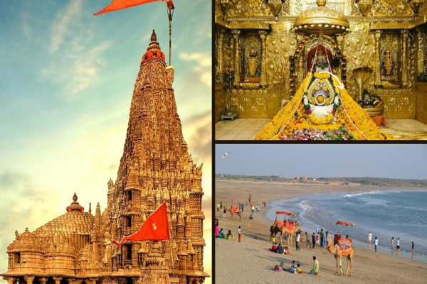 Ahmadabad Somnath Dwarka Porbandar 6N7D Package